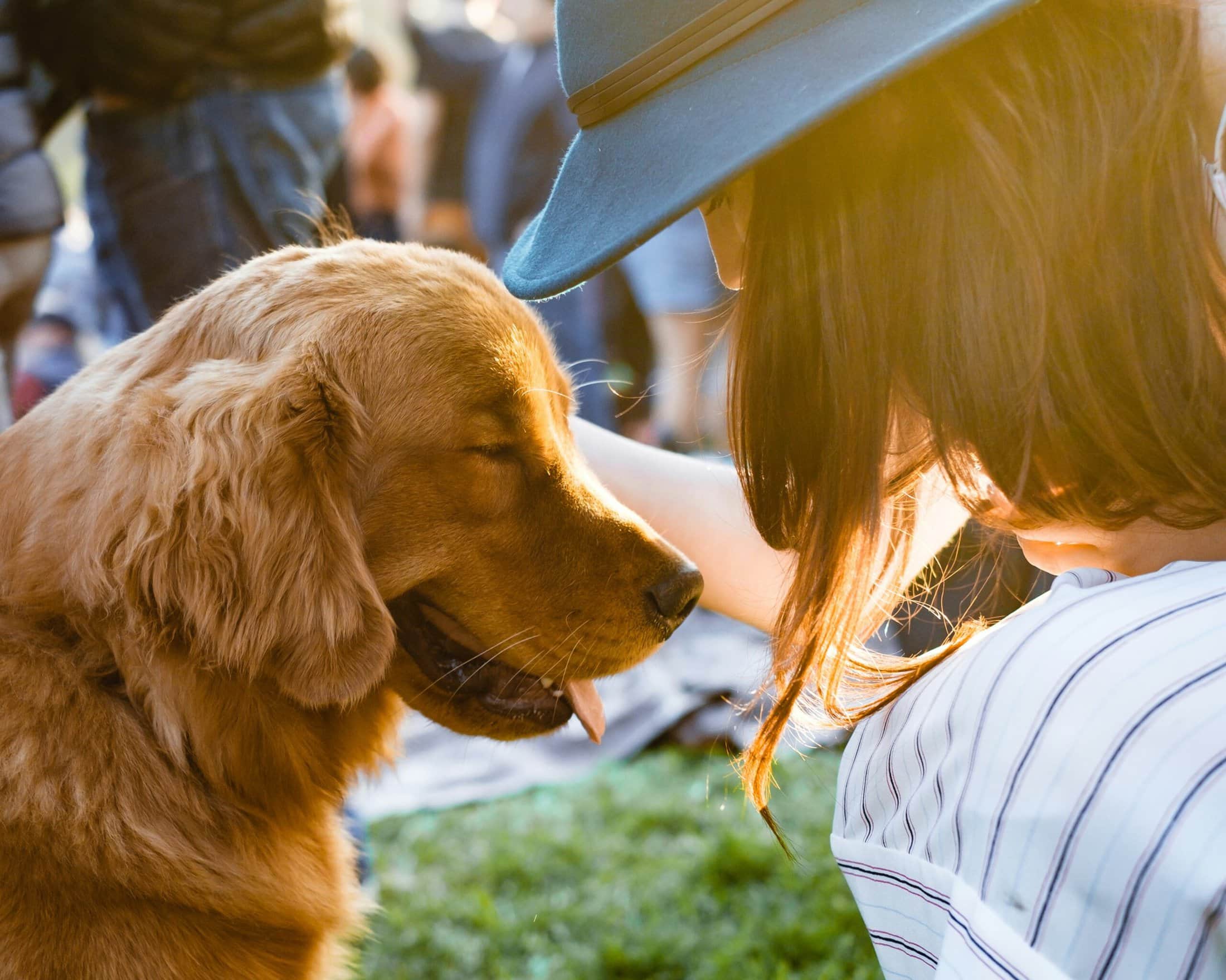 CYFS Adoption Success Stories